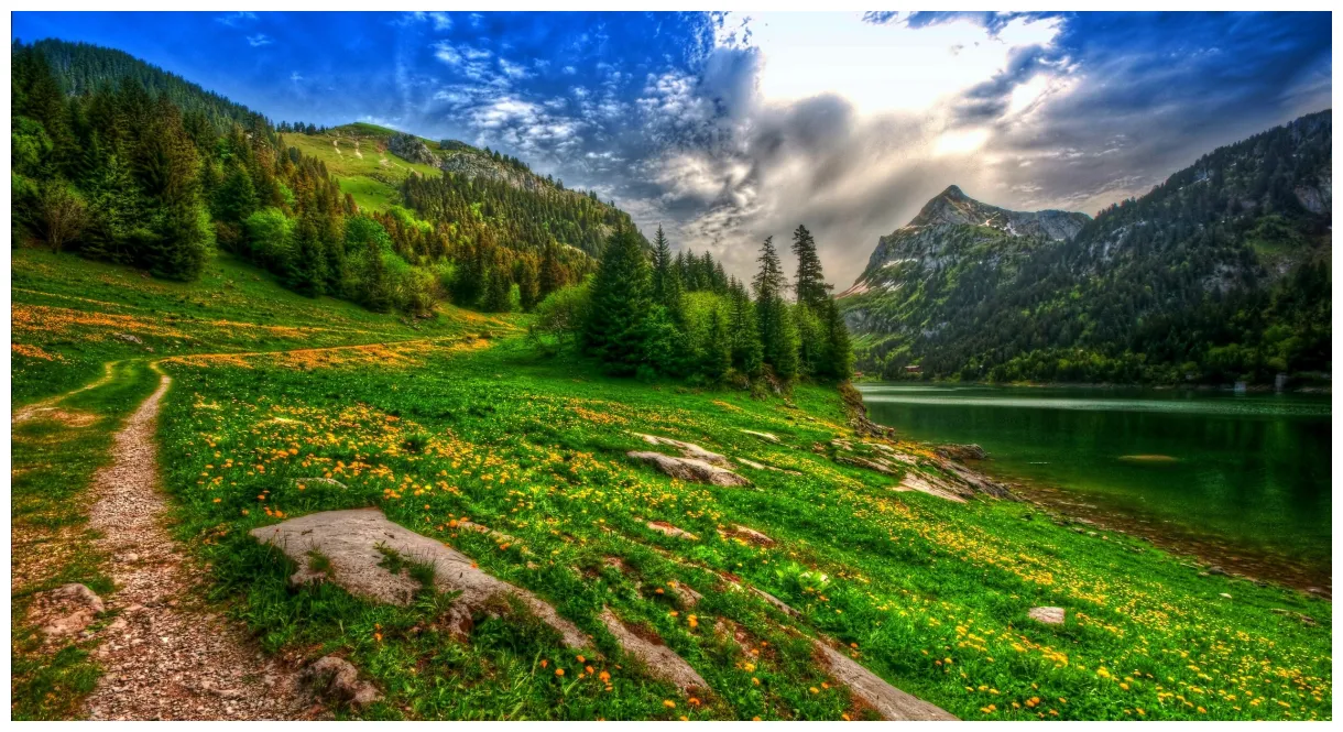 Nature, landscape, lake, mountain, forest, wildflowers, spring, pine