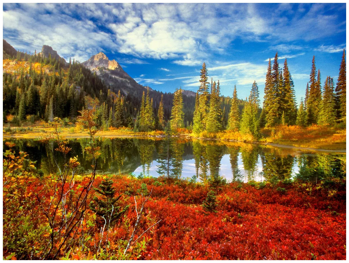 Download nature landscape