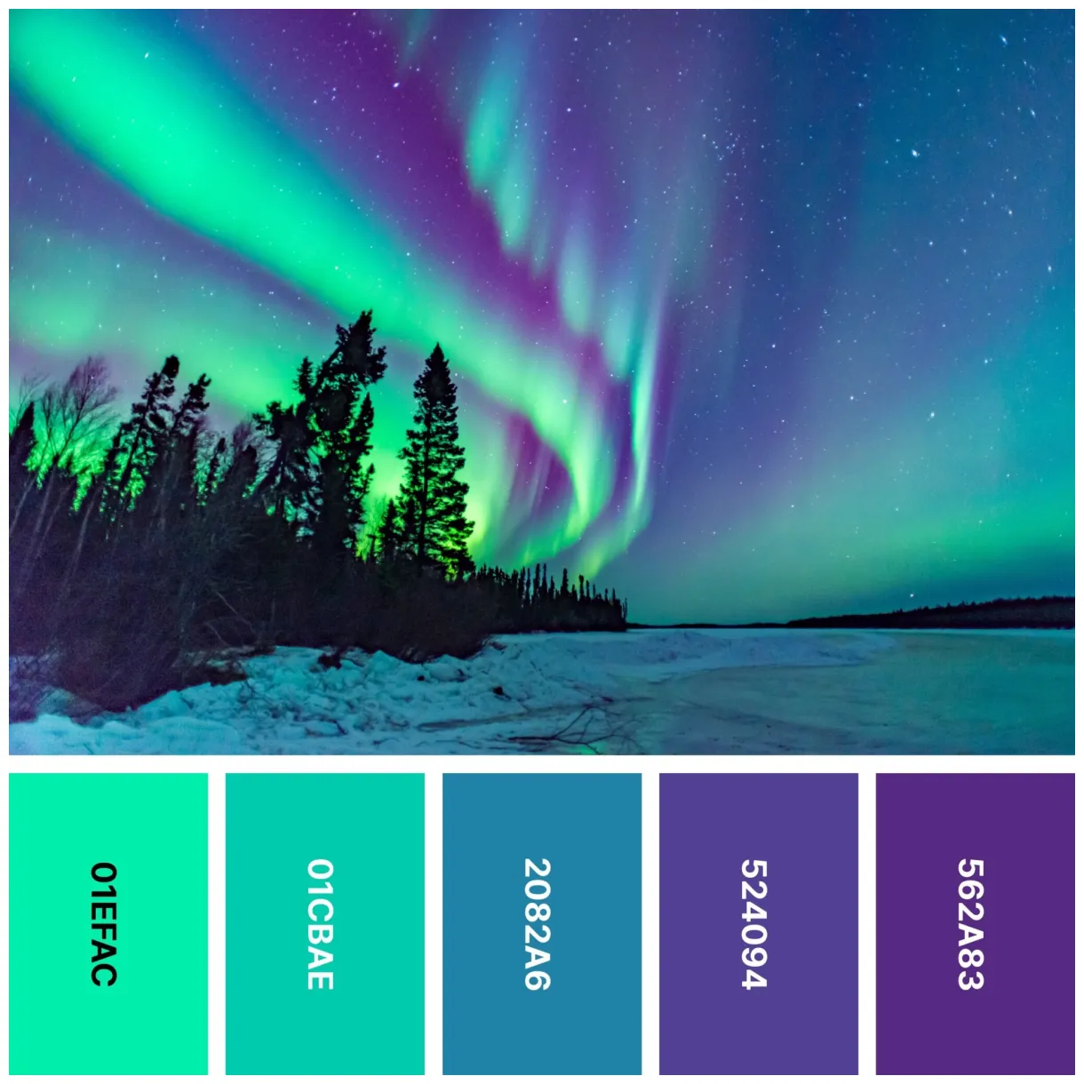 30 cool color palettes for calming designs color meanings