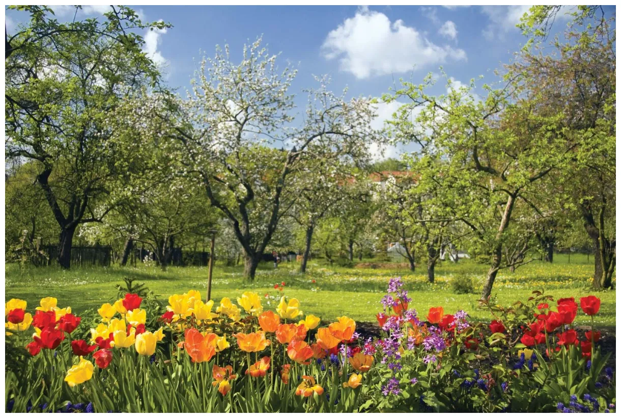 Spring definition, dates, & facts britannica