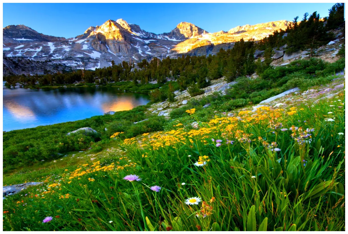 🔥 [40+] spring mountain scenes s safari
