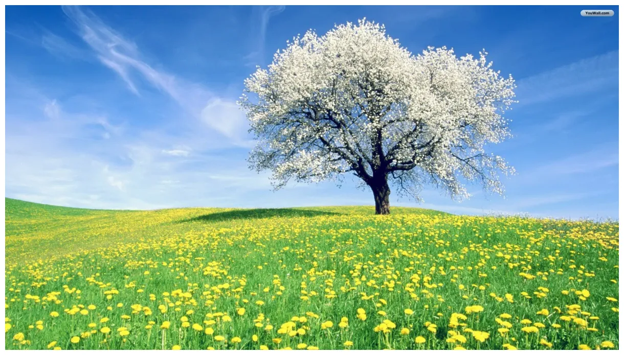 The spring equinox & eggs carl kruse people + organizations doing good printable coloring page