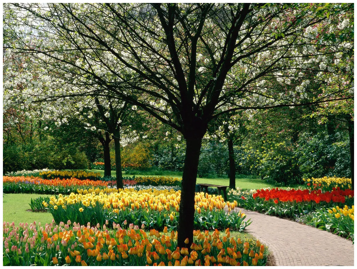 20 top spring s you can download it without a penny