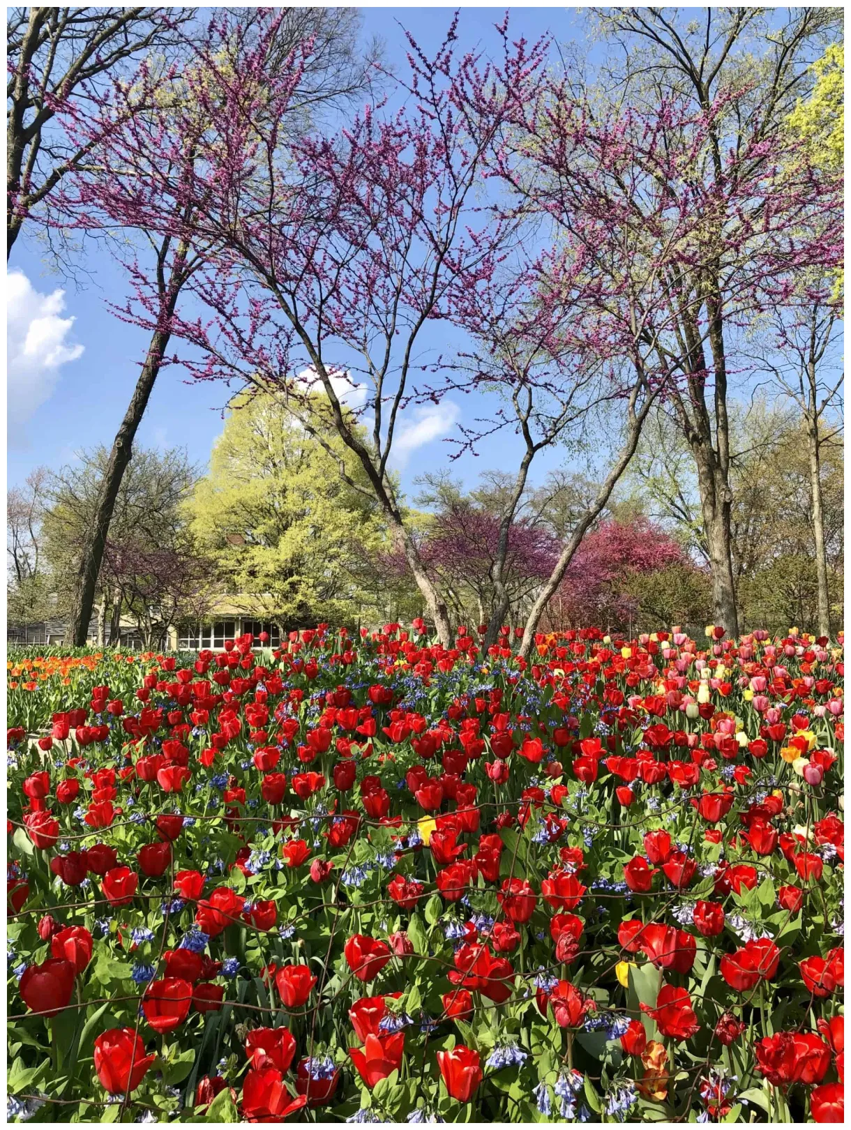 5 things to remove and 5 things to replace for a simple spring reset