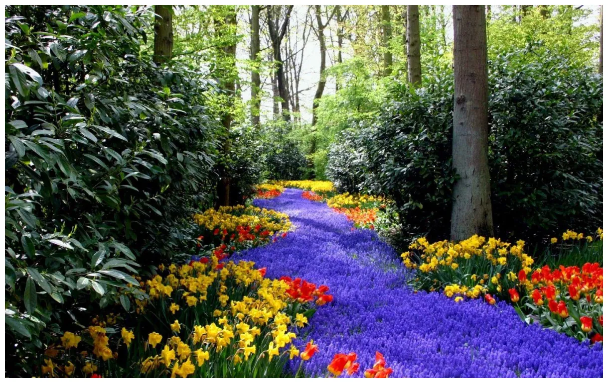 Spring scenery s top free spring scenery s