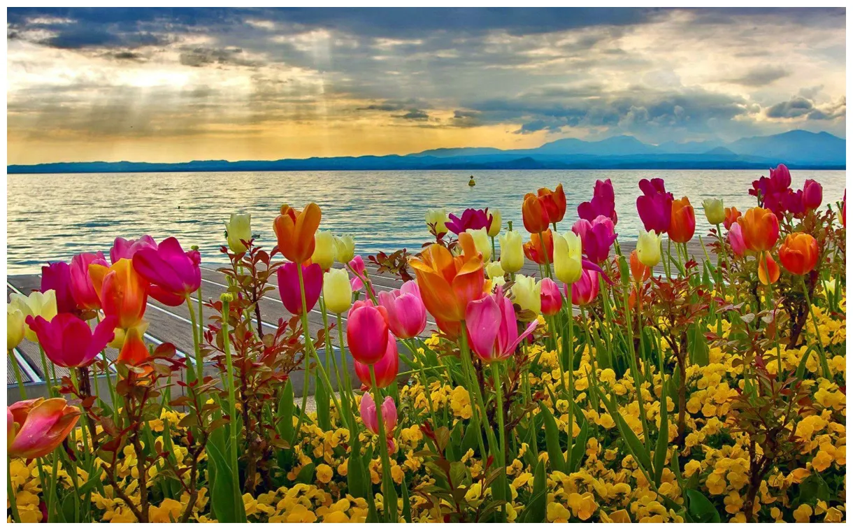 Bing spring s top free bing spring s access