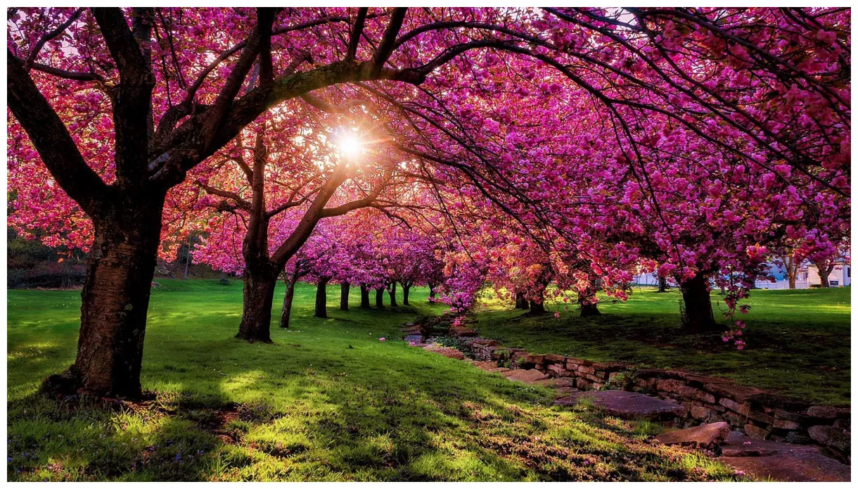 Spring scenery s top free spring scenery