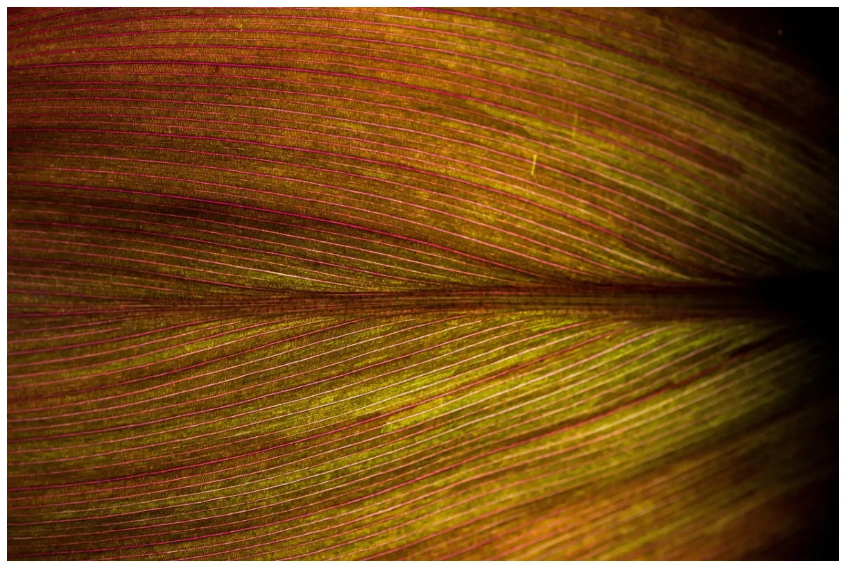 Plus de 60 000 s de texture pavé et de texture pixabay