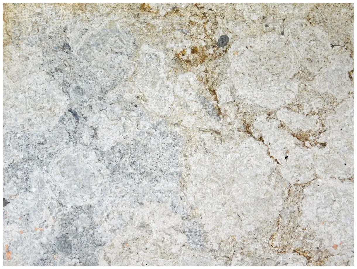 Download stone texture s printable coloring page