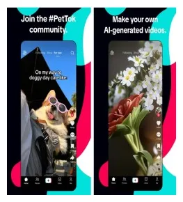 TikTok MOD APK v39.1.1 Download For Android