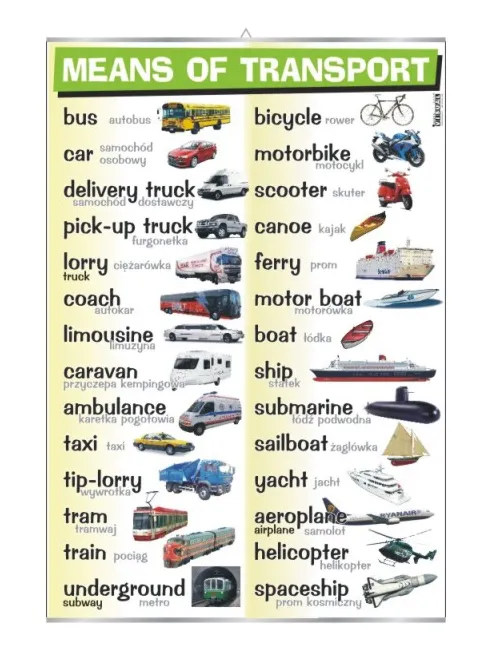 Means of transport visual system