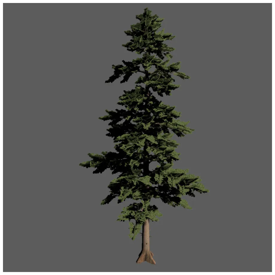 松の大木 3dモデル $40 .fbx free3d