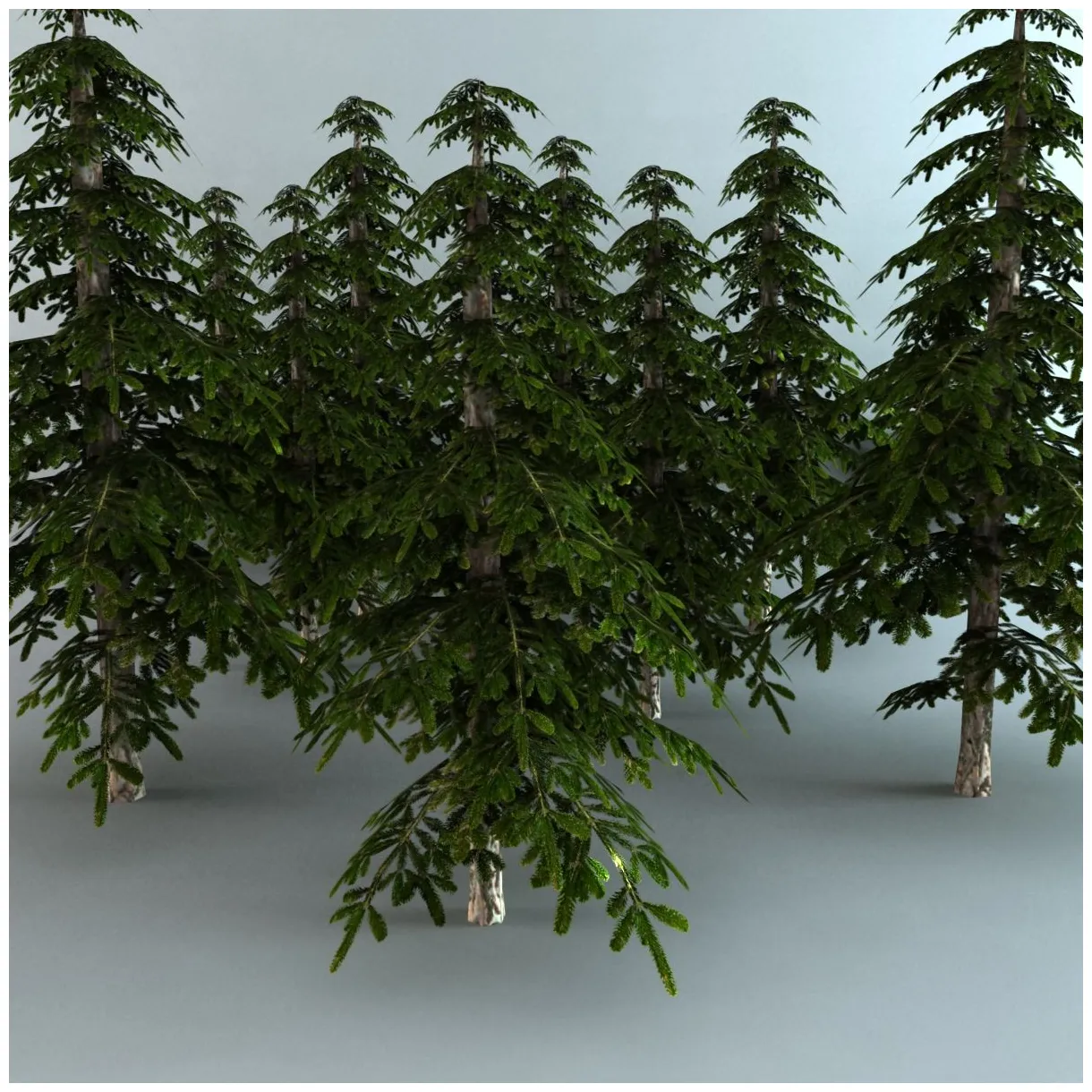 松の木 3dモデル $19 .max .obj .fbx free3d