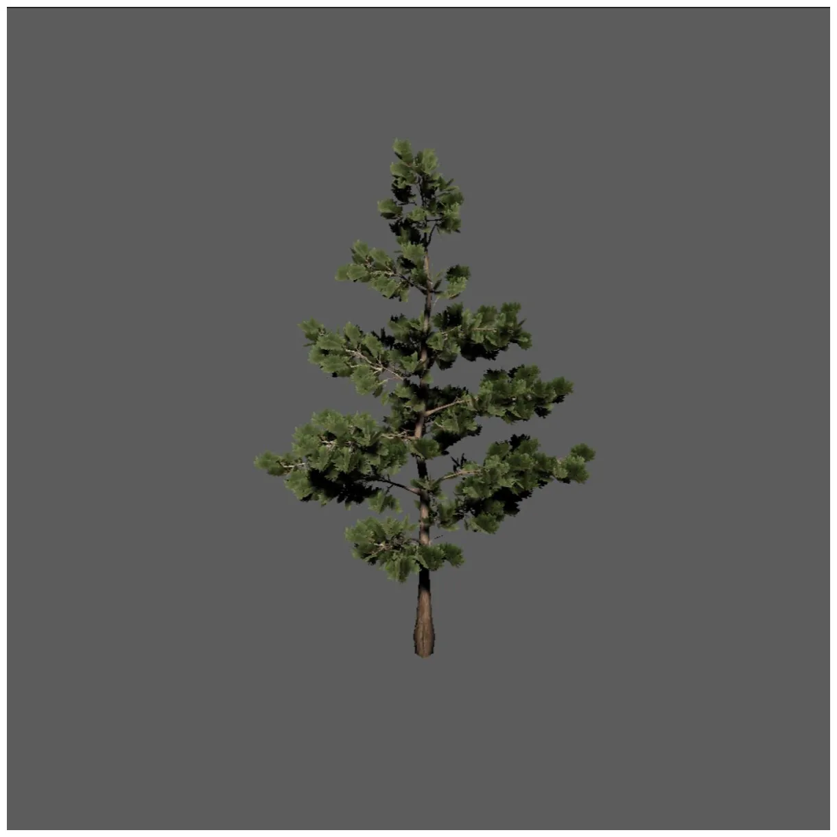 松の木 無料3dモデル .blend free3d