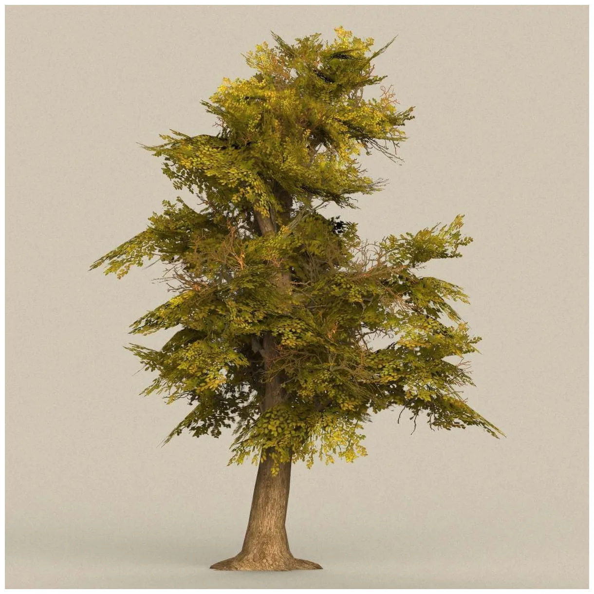 Tree 17 3d model by treeworld3d