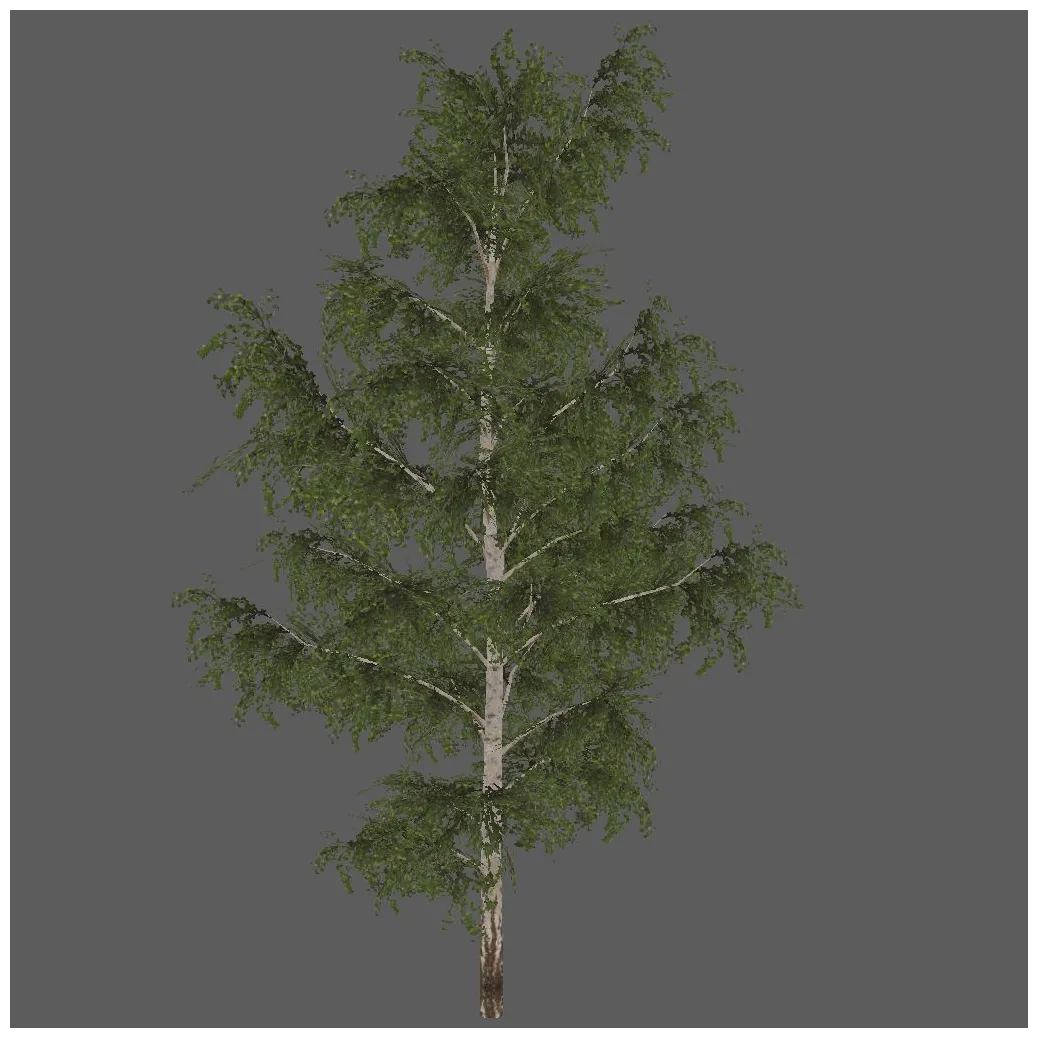Birch tree free 3d model .blend free3d