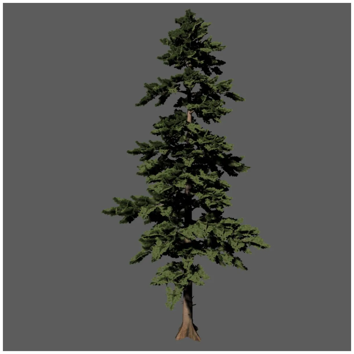 Pine tree free 3d models download free3d