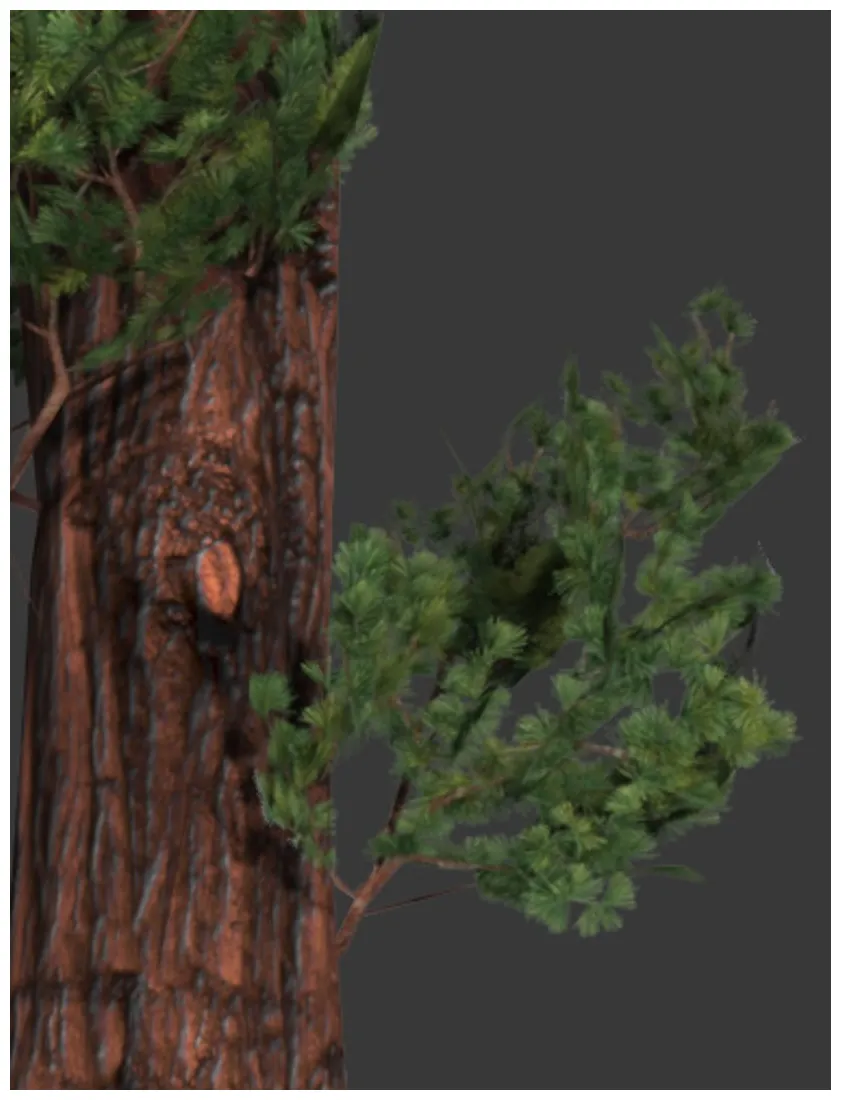 3d sequoia pine tree turbosquid 1336224