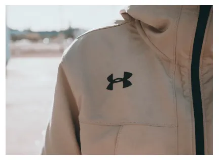 Meaning, history, design influences, and evolution