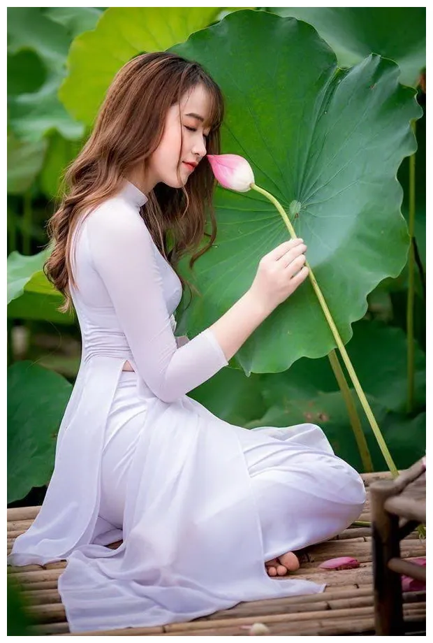 Thiếu nữ áo dài trắng và hoa sen ベトナム 美人, アオザイ, 女性