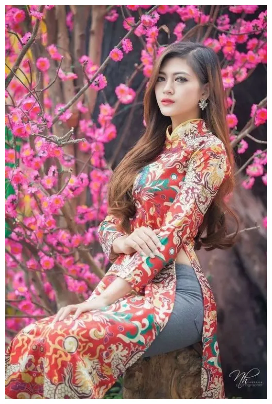 【かごめ】 ao dai, vietnamese long dress, beautiful asian women