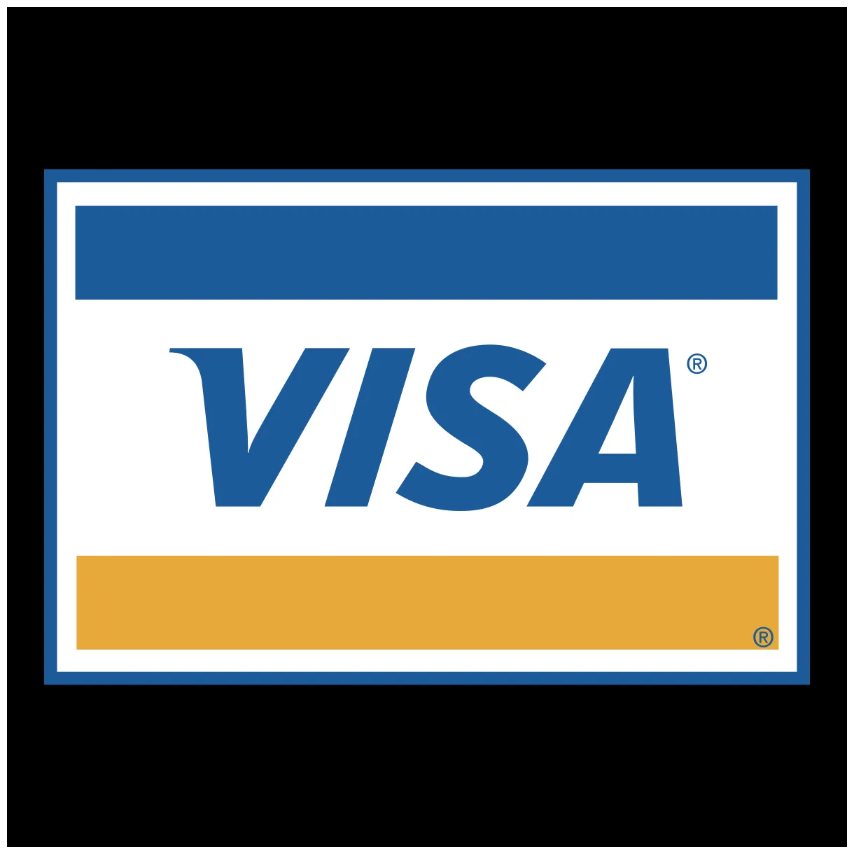 Silver Visa Logo